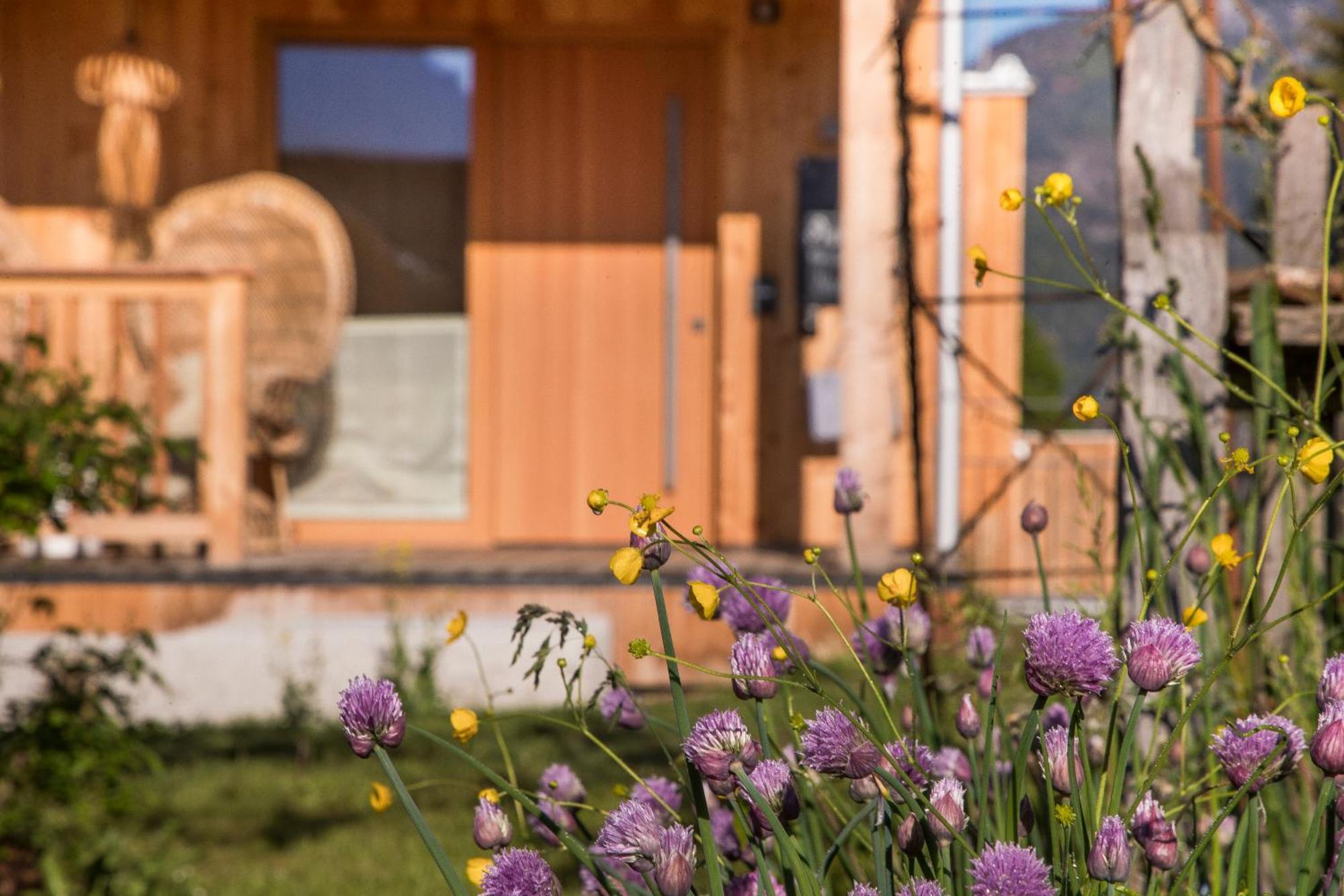 Alpegg Chalets Waidring Extérieur photo